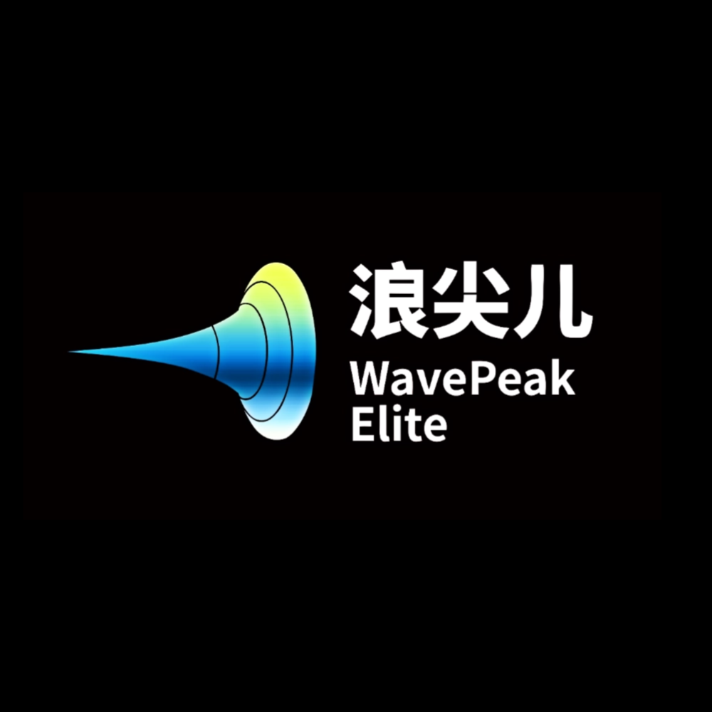 浪尖 Logo